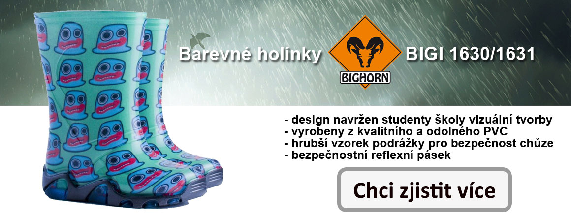 det_holinky_1_ch_cz